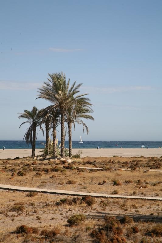 IMAGEN PLAYA