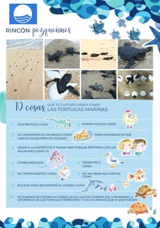 IMAGEN PLAYA